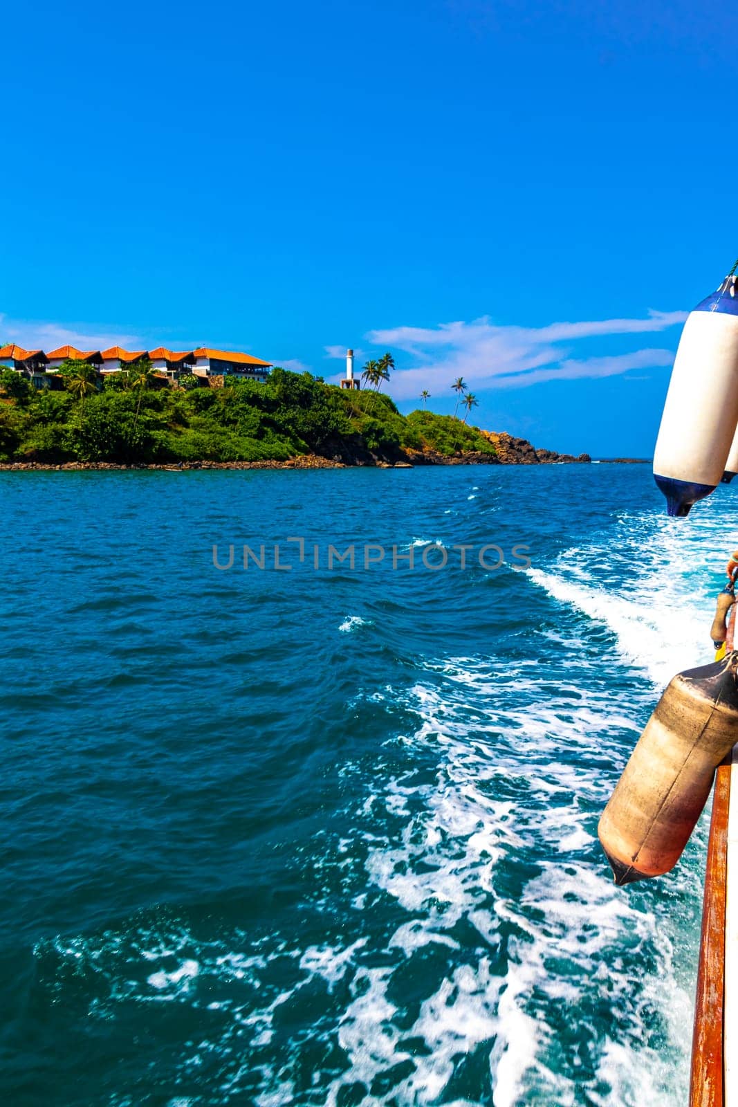 Boat trip catamaran ship tour blue whale people Sri Lanka. by Arkadij