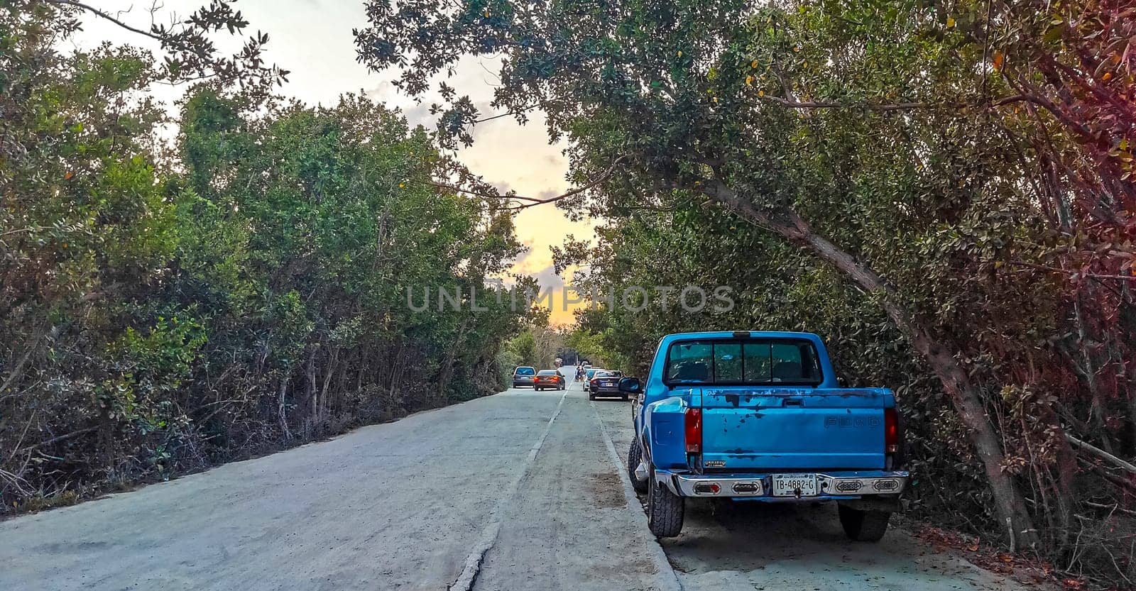 Path road and trail in the tropical nature jungle Mexico. by Arkadij