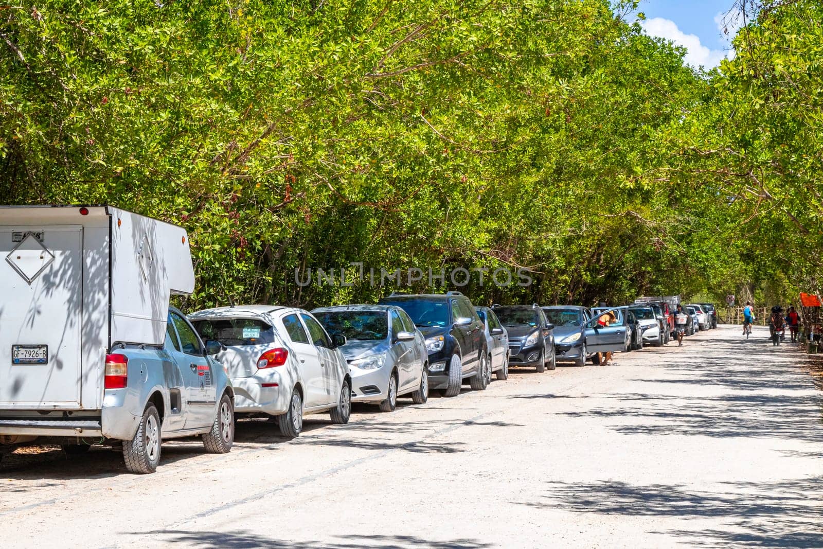 Various cars parked outside on the roadside in Playa del Carmen Quintana Roo Mexico.