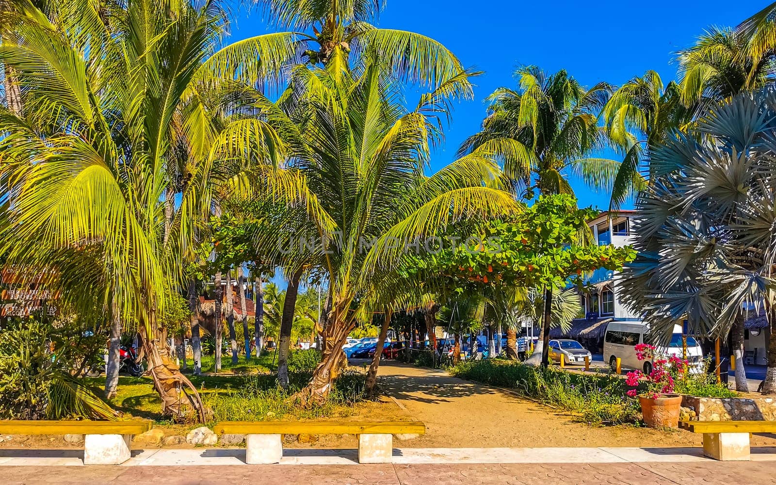 Restaurant restaurants bar bars shops hotels palms palm trees and promenades on the beach in Zicatela Puerto Escondido Oaxaca Mexico.