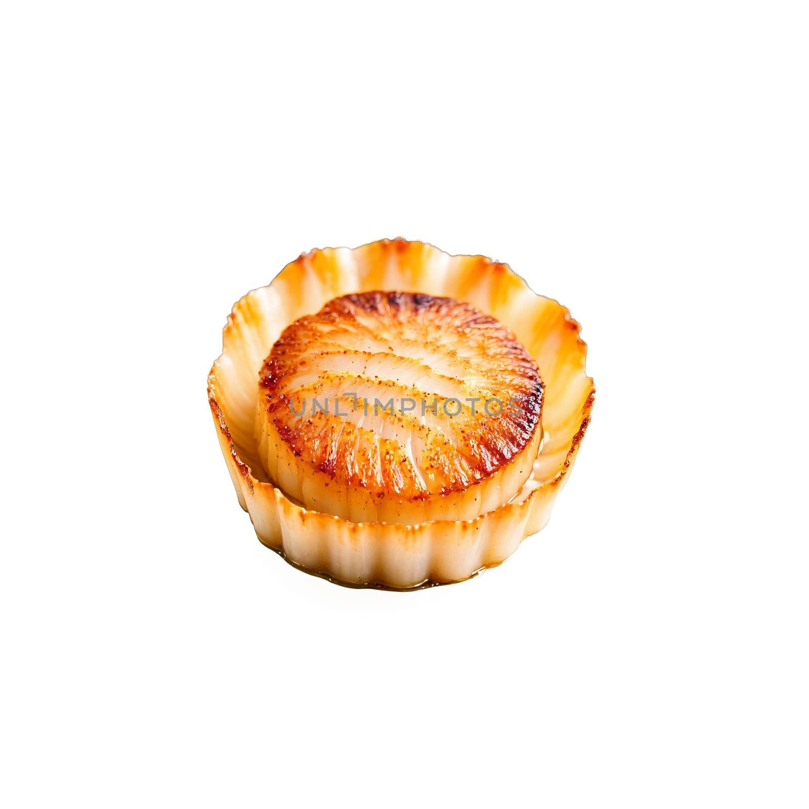 Scallops pan seared to golden perfection with a delicate caramelized crust and a tender center. Food isolated on transparent background