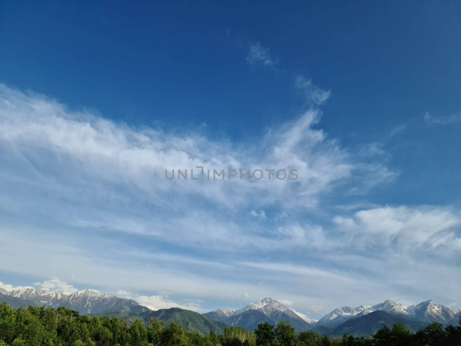 A natural landscape with a clear blue sky filled with fluffy white cumulus clouds, showcasing a stunning ecoregion of highland grasslands and majestic mountains in the background.