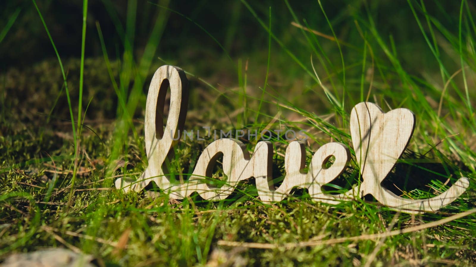Wooden word love on greenery environment forest green grass background. Minimal of greeting for Valentine's Day holiday card. Concept of unity with nature, sustainable lifestyle