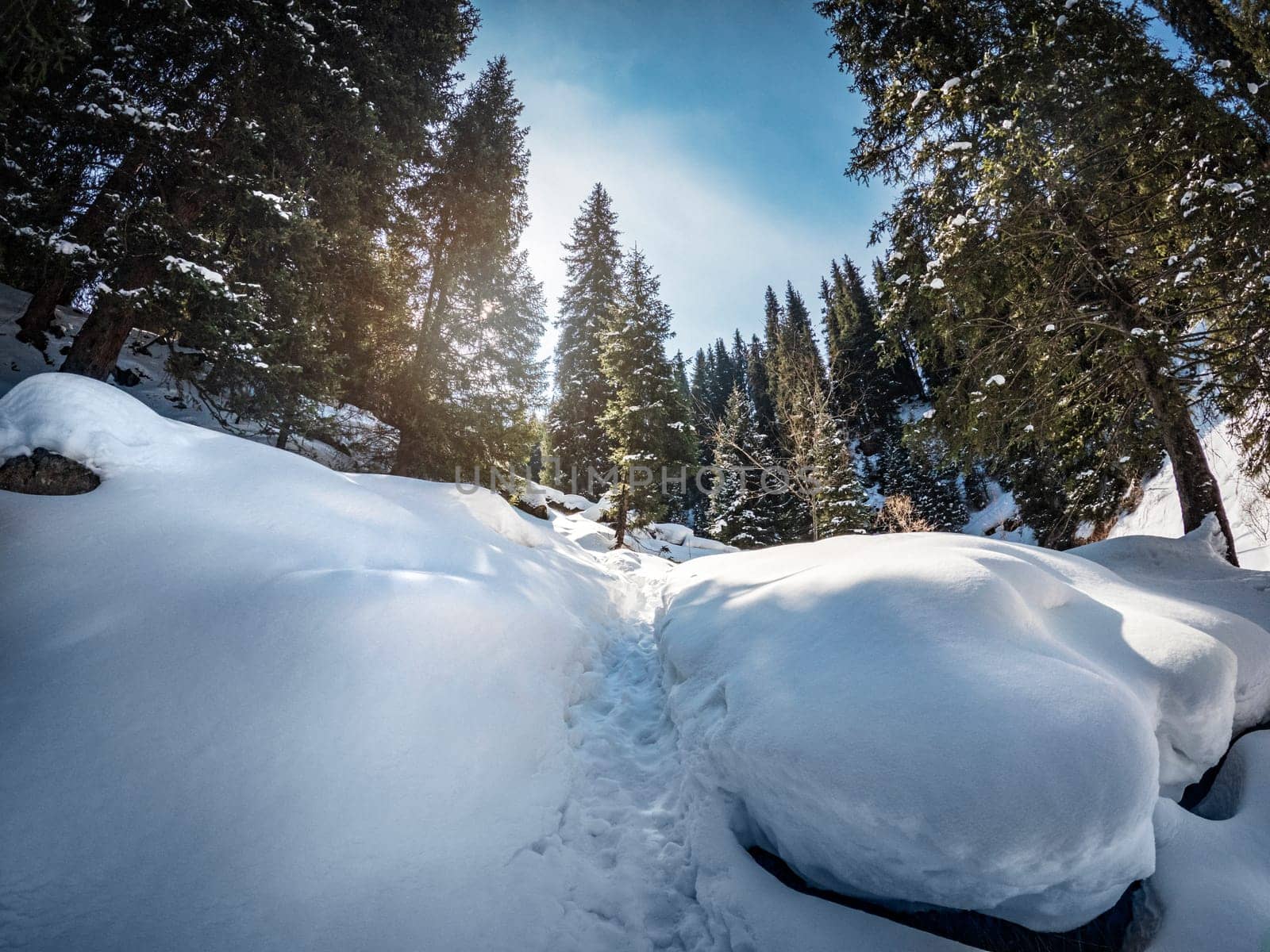 Scenic winter hiking trail through incredible snow-covered forest in the mountains. Kazakhstan nature.