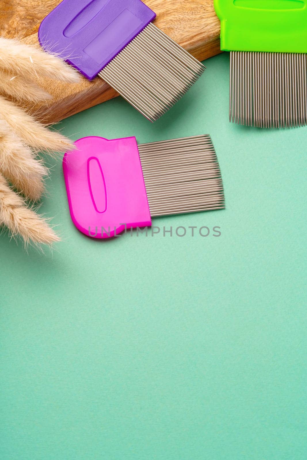 Three combs for lice removing on green background close up