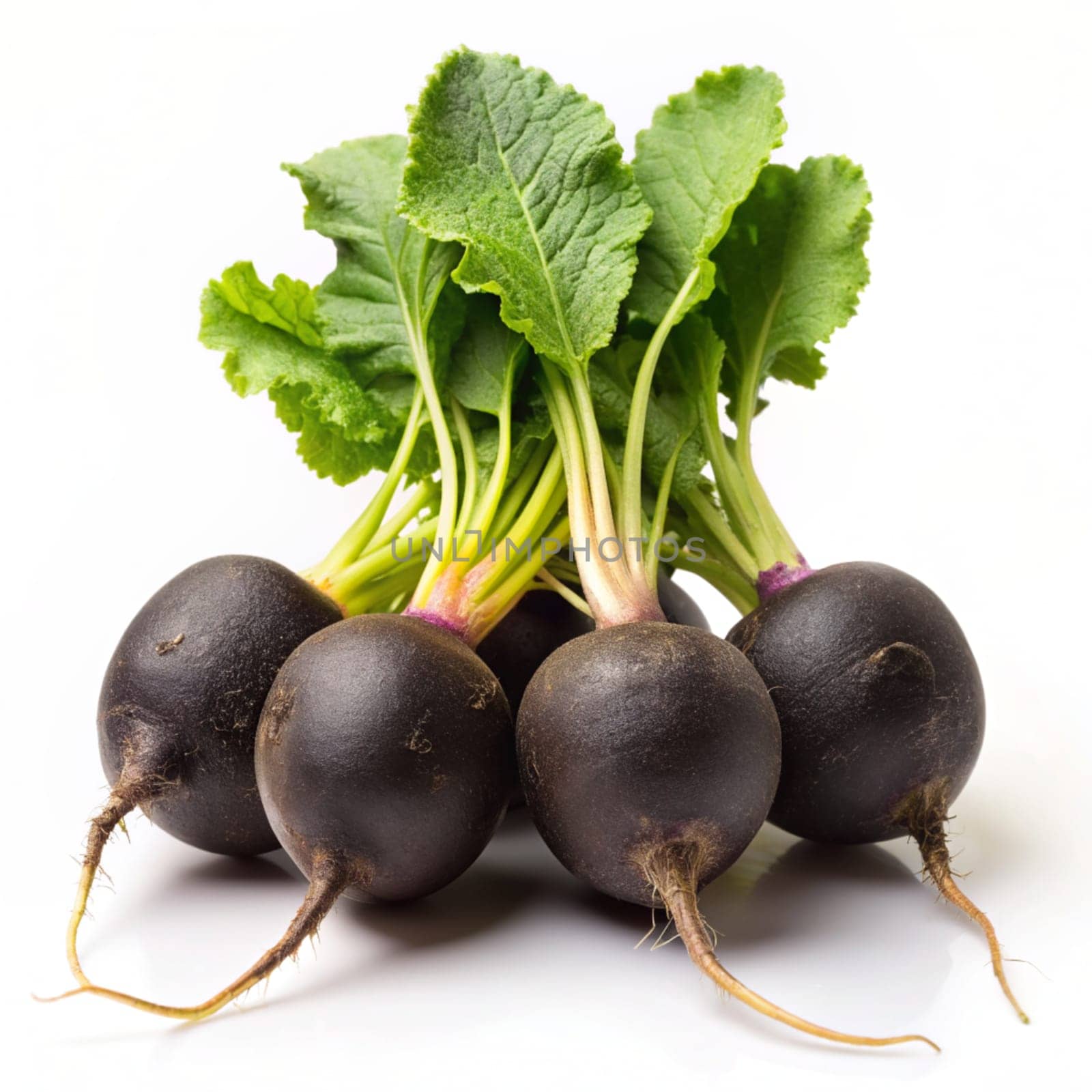 Black radish isolated on a white background. Ai generated by alenamoore