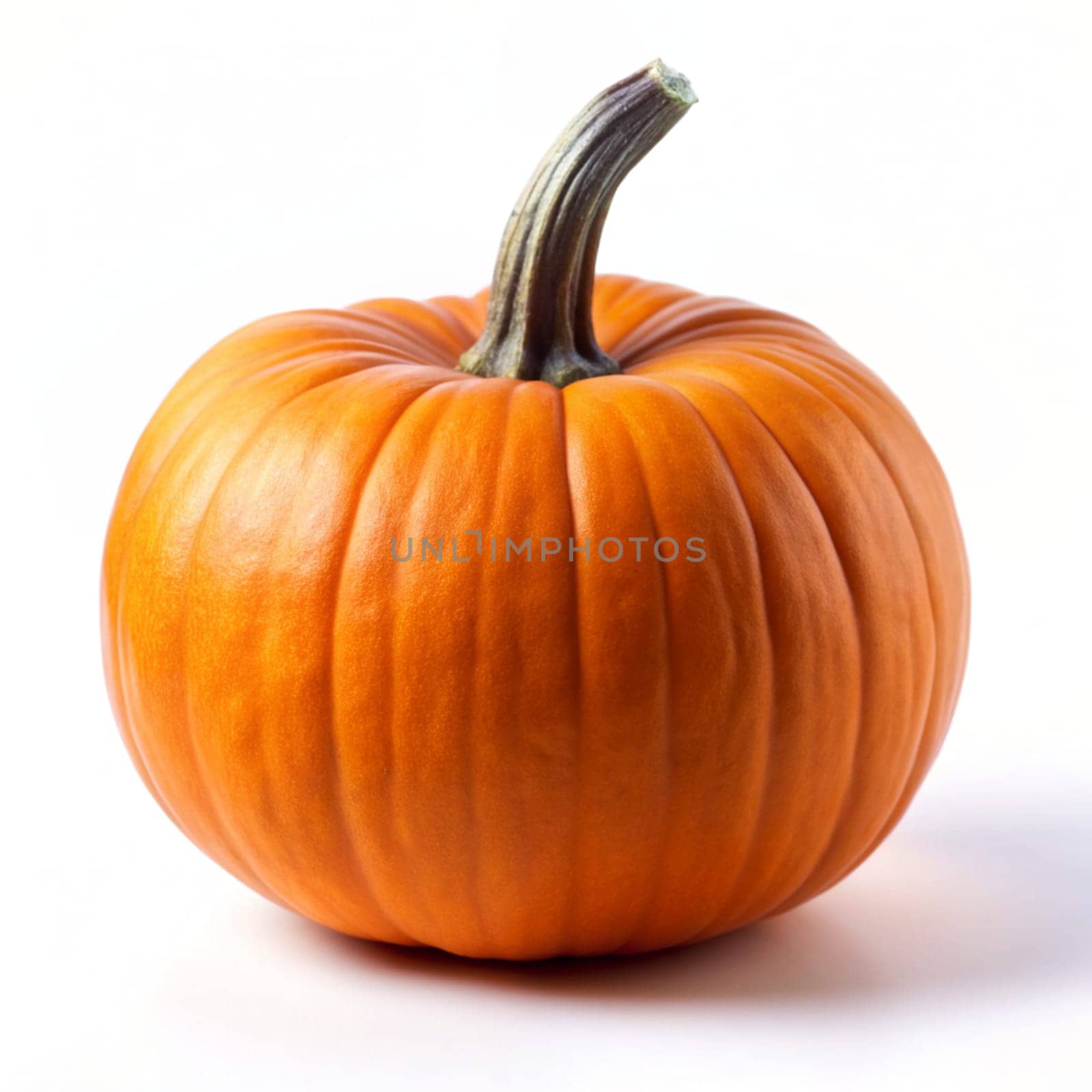 Pumpkin isolated on the white background. Fresh pumpkin fruits isolated on a white background. Ai generated image