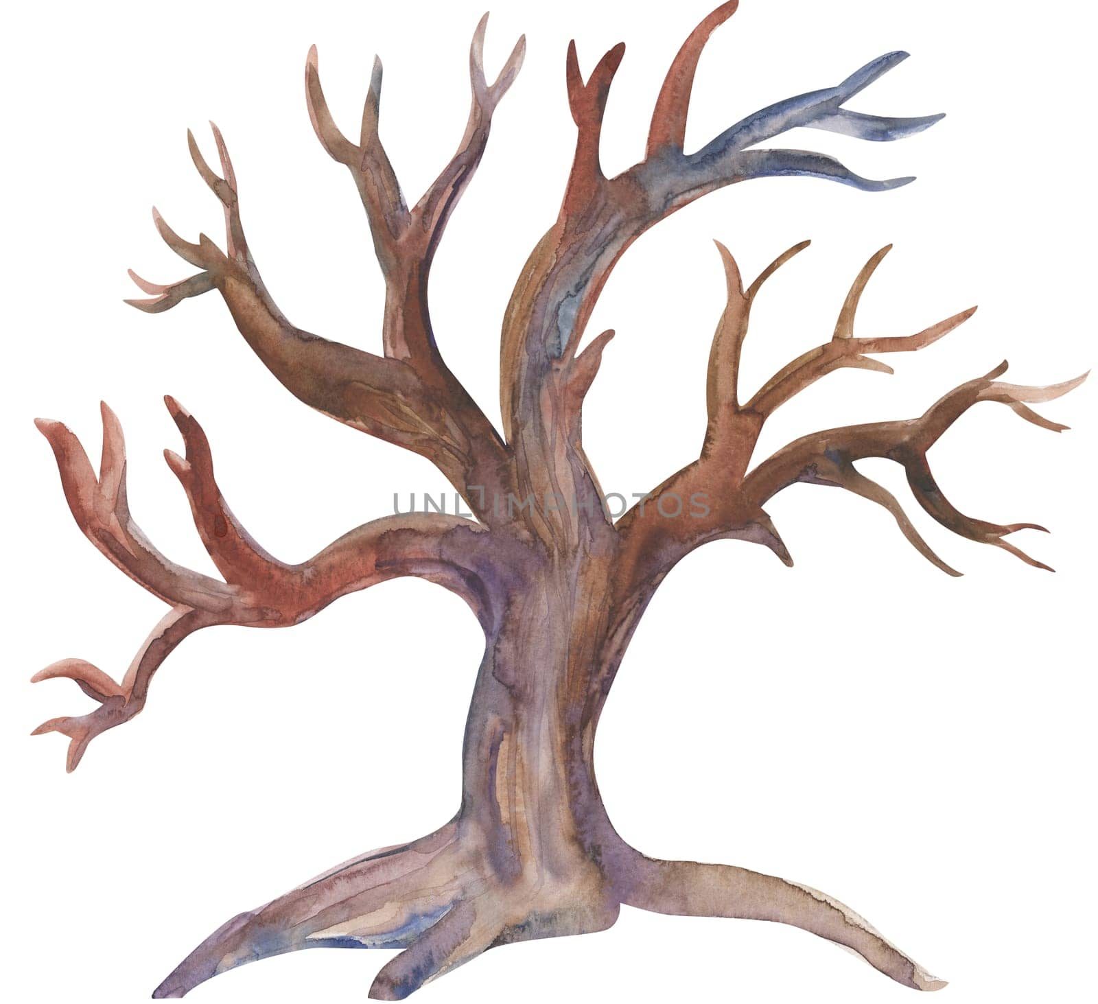 Watercolor illustration of a tree without leaves isolated on a white background