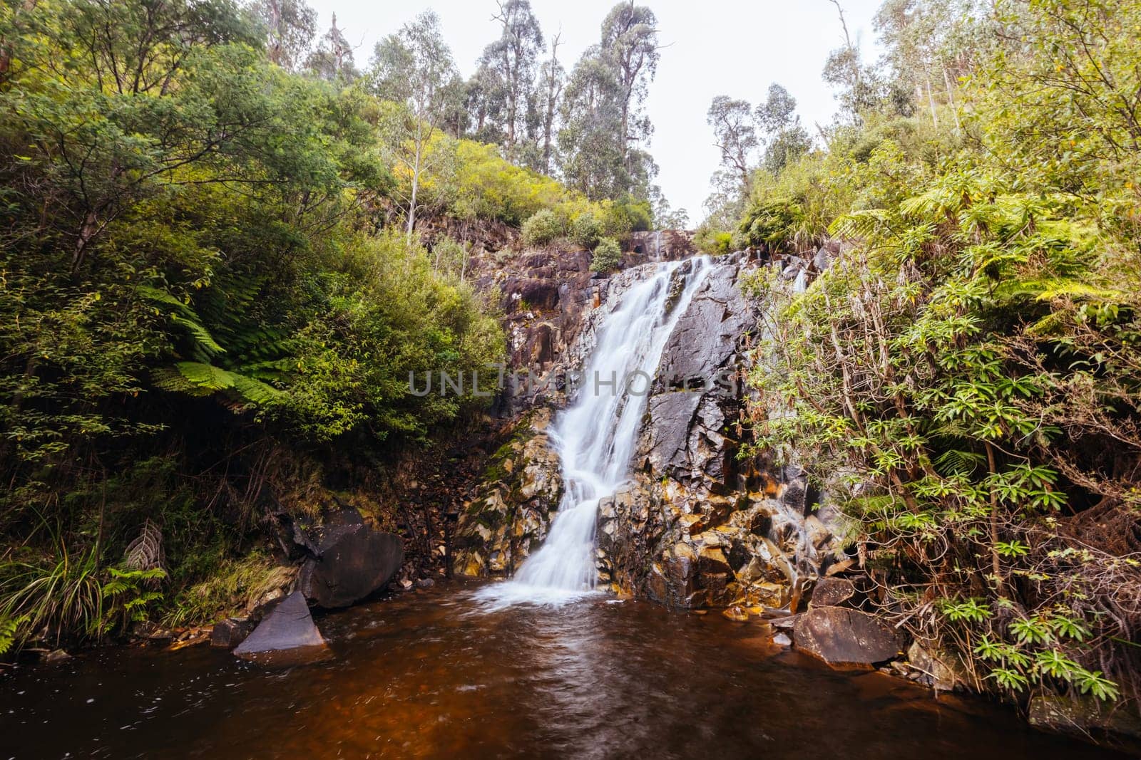 Steavenson Falls in Marysville Australia by FiledIMAGE