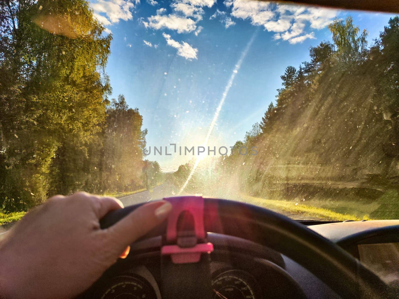 Car salon, windshield, hand of woman on steering wheel and landscape. View from seat of driver on nature at sunny day. Single trip of female traveler