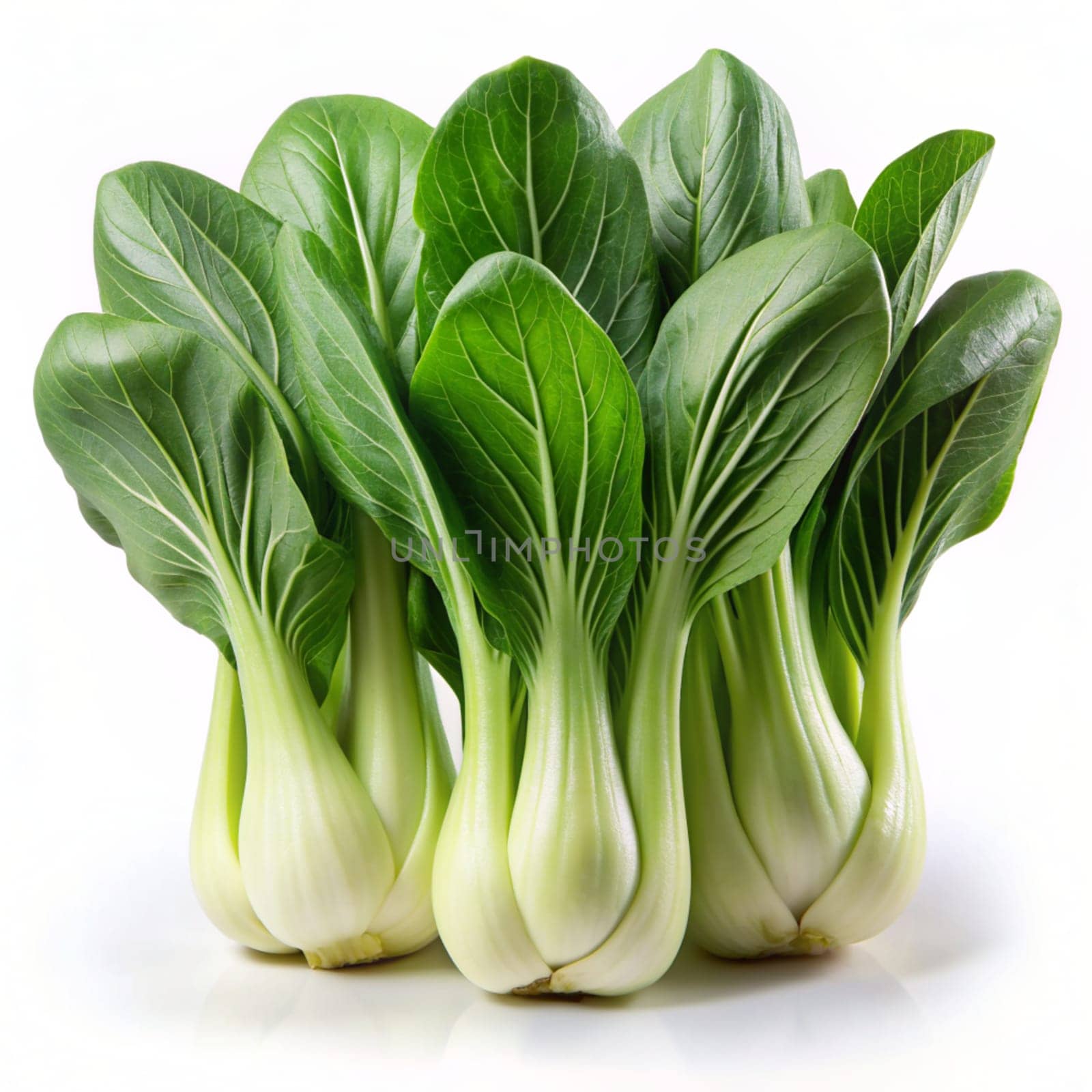 Bok choy vegetable (Chinese cabbage) isolated on white background. Ai generated image