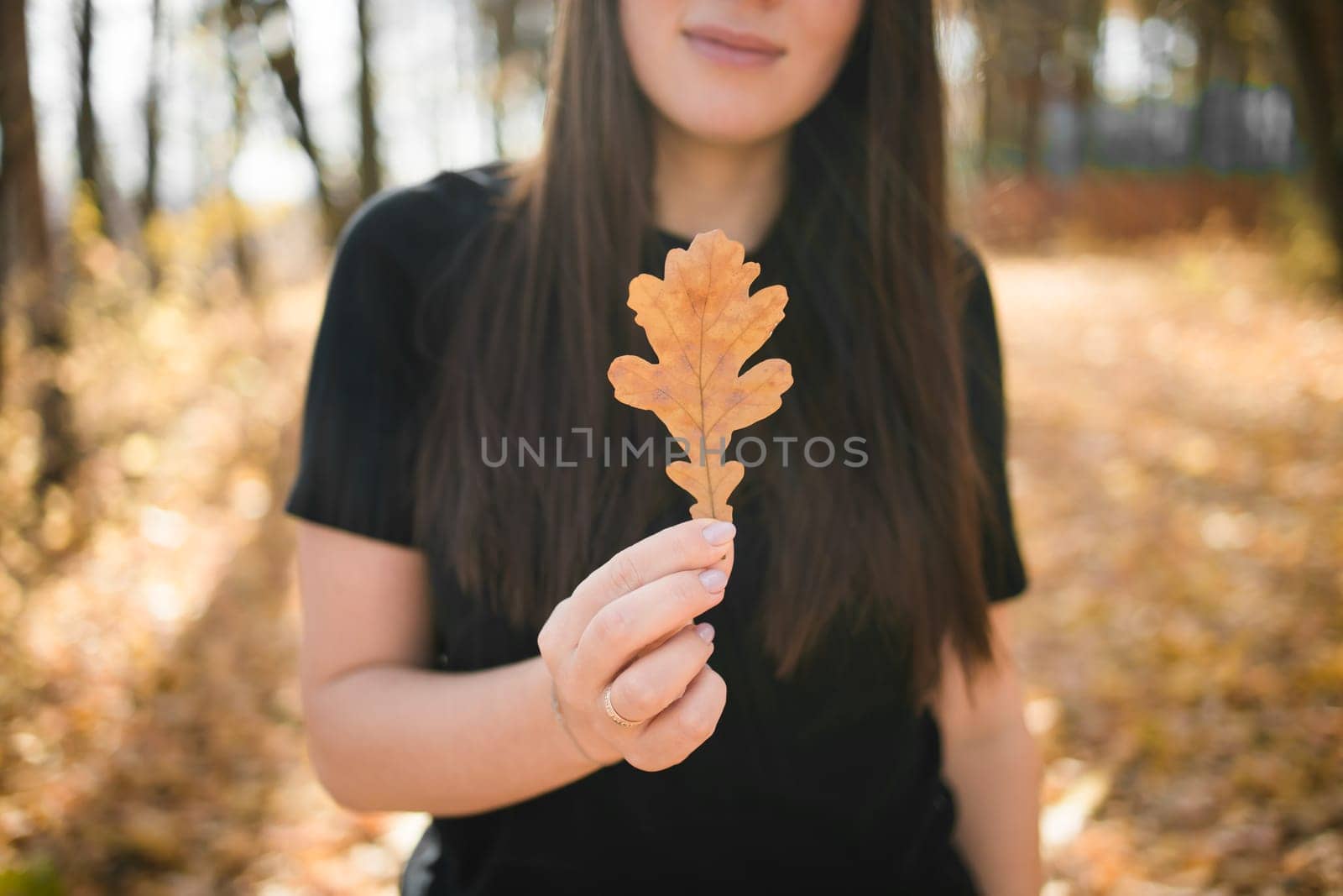Woman holds yellow oak leaf close-up in hand in fall season - autumn and nature