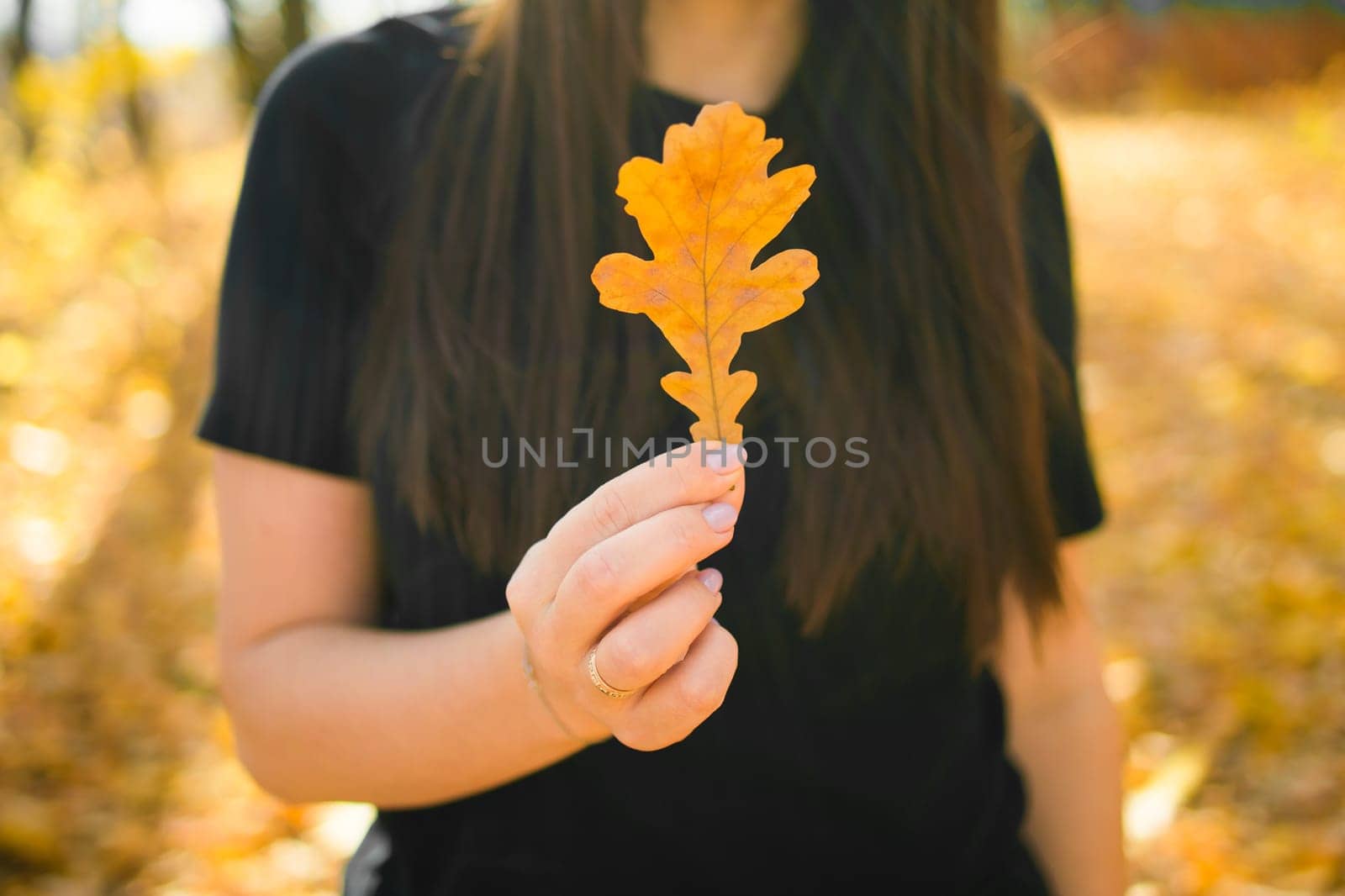 Woman holds yellow oak leaf close-up in hand in fall season - autumn and nature concept by Satura86