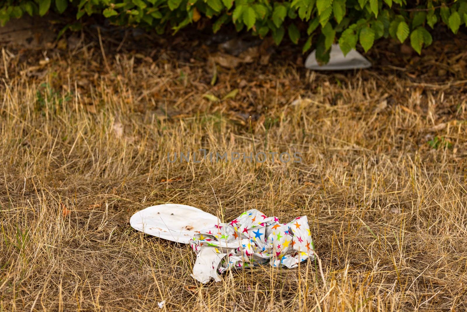 Disposable plates and party crockery thrown away in nature pollutes and destroys the environment