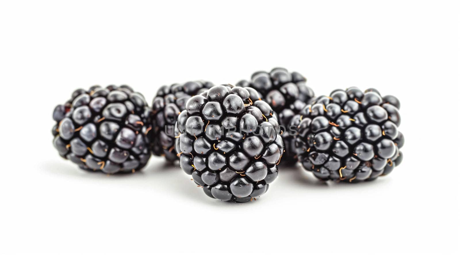 Beautiful blackberries isolated on white background, fresh blackberry farm market product by Anneleven