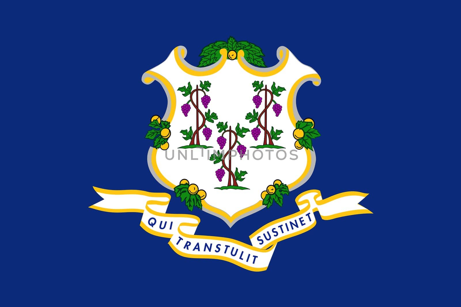A Connecticut State Flag background illustration