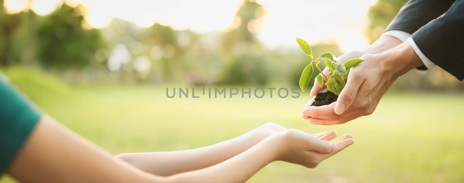 Panorama, businessman handing plant or sprout to young boy as eco company committed to corporate social responsible, reduce CO2 emission and embrace ESG principle for sustainable future.Gyre