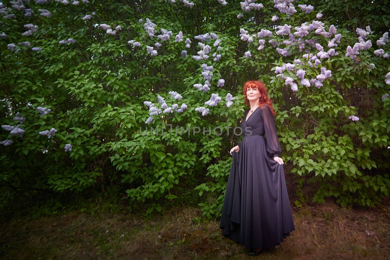 Elegant senior mature Woman in Black Dress by Blooming Lilac Bush at Dusk. Woman with red hair stands poised among lilac blooms