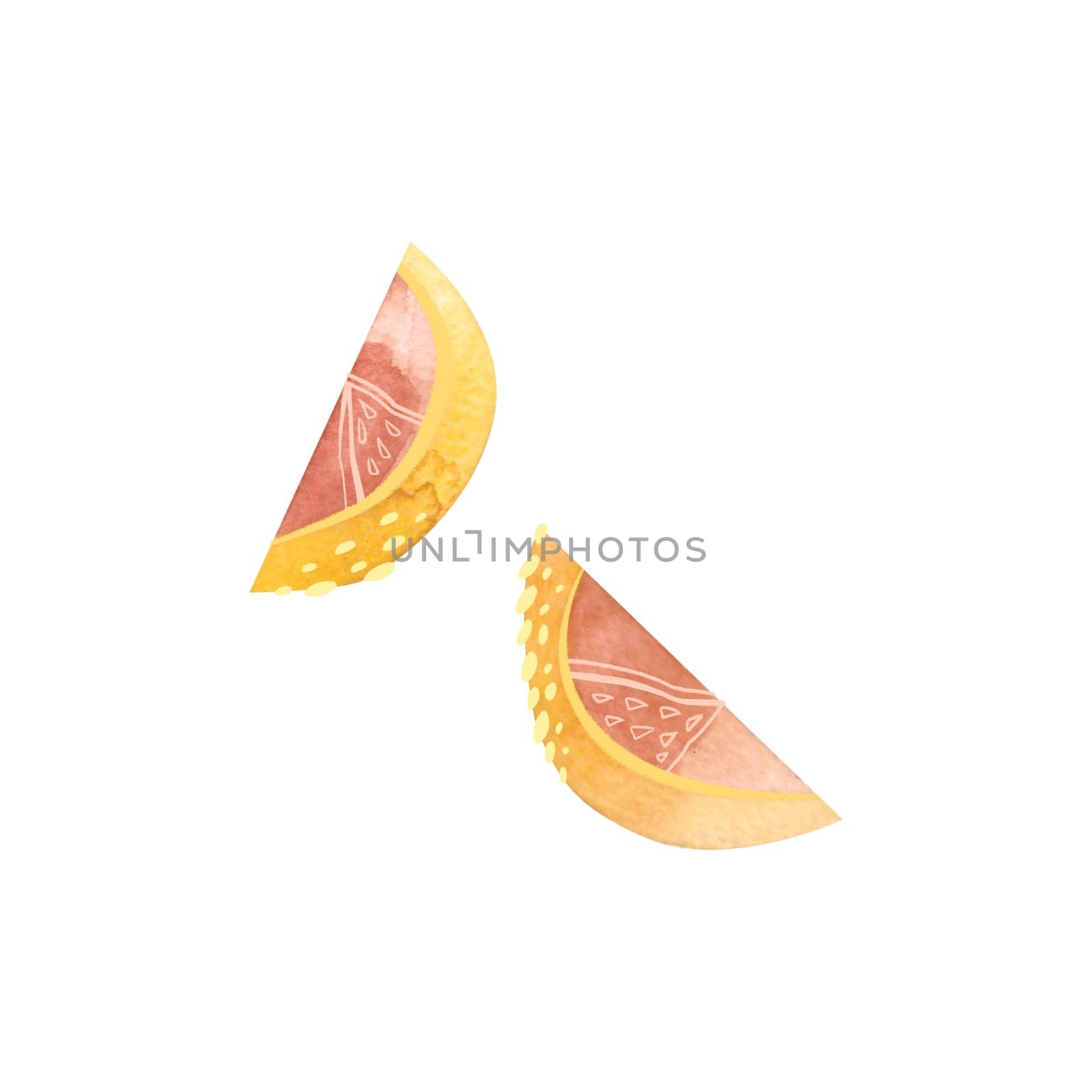 Two lemon slices in sketch style. Clipart. Isolated watercolor illustration on a white background for the design of tea shops, coffee shops, menus, sweets packaging.