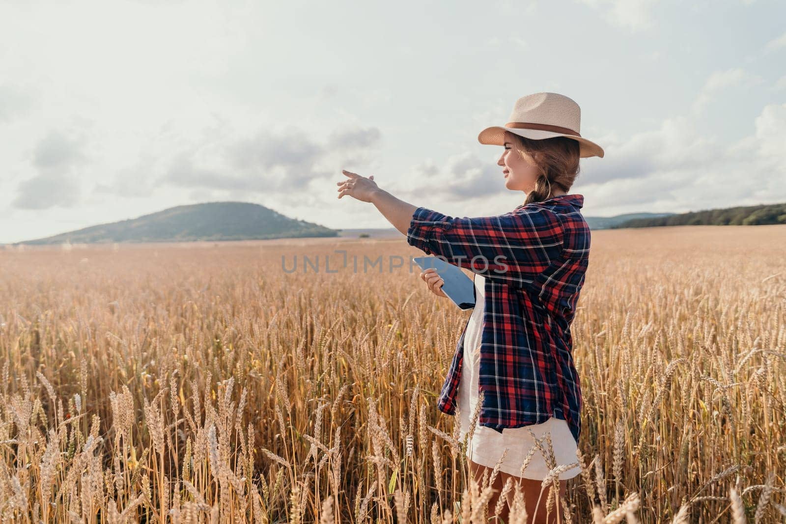 Woman farmer walks through a wheat field at sunset, touching green ears of wheat with his hands. Hand farmer is touching ears of wheat on field in sun, inspecting her harvest. Agricultural business.