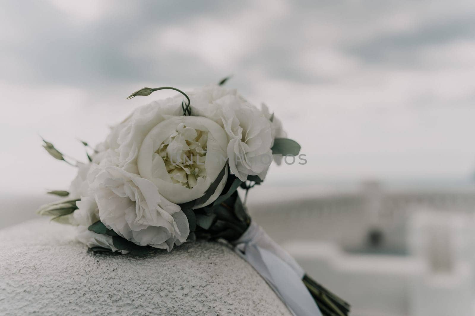 A bouquet of white flowers is sitting on a white surface. The flowers are arranged in a way that they are all facing the same direction, creating a sense of unity and harmony