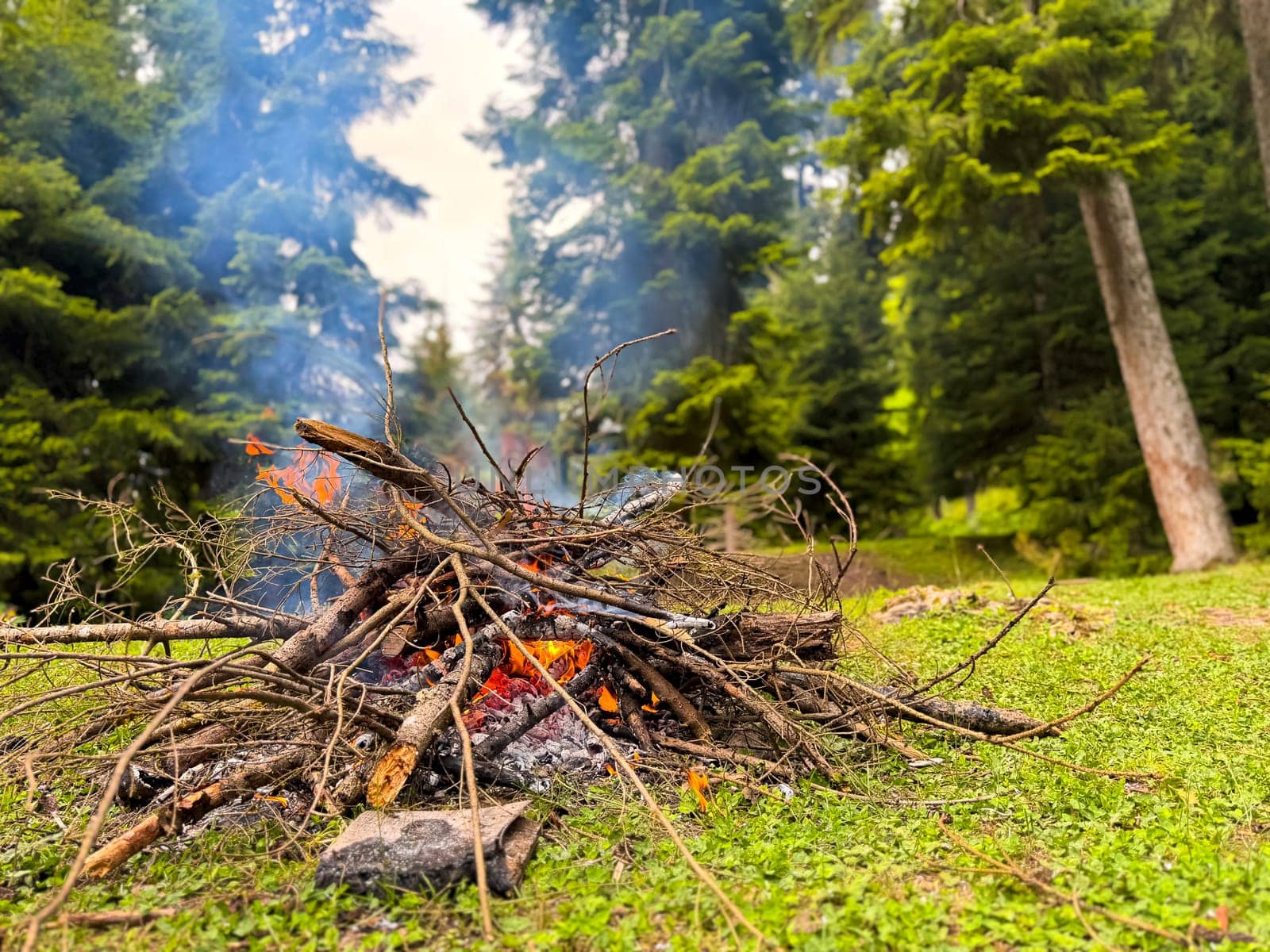 Burning bonfire made of branches and sticks with rising smoke in forest clearing surrounded by pine trees. Natural outdoor scene for camping and adventure. Hiking trip and overnight stays in forest.