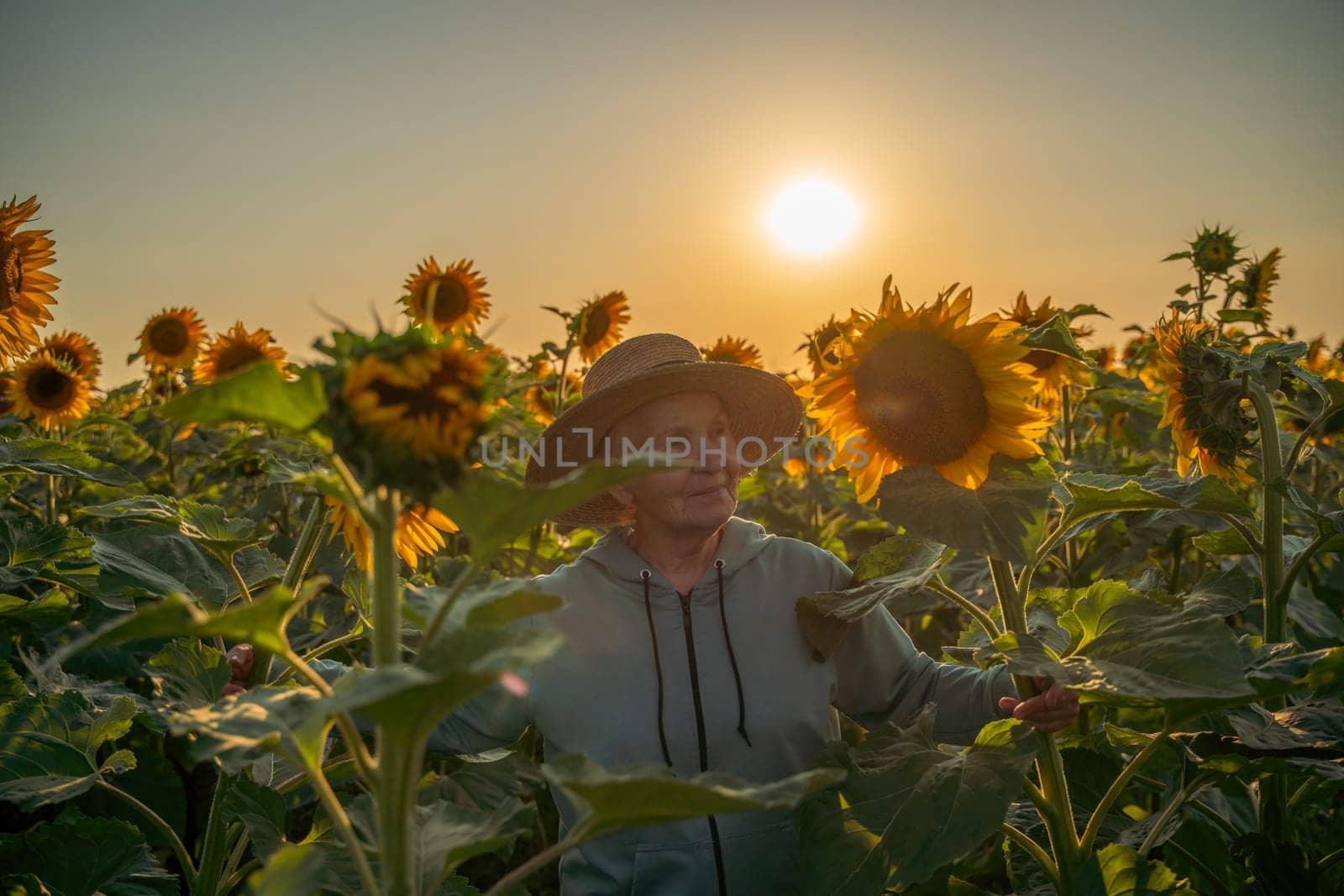 A woman wearing a straw hat stands in a field of sunflowers. The sun is setting in the background, casting a warm glow over the scene. The woman is enjoying the beauty of the flowers