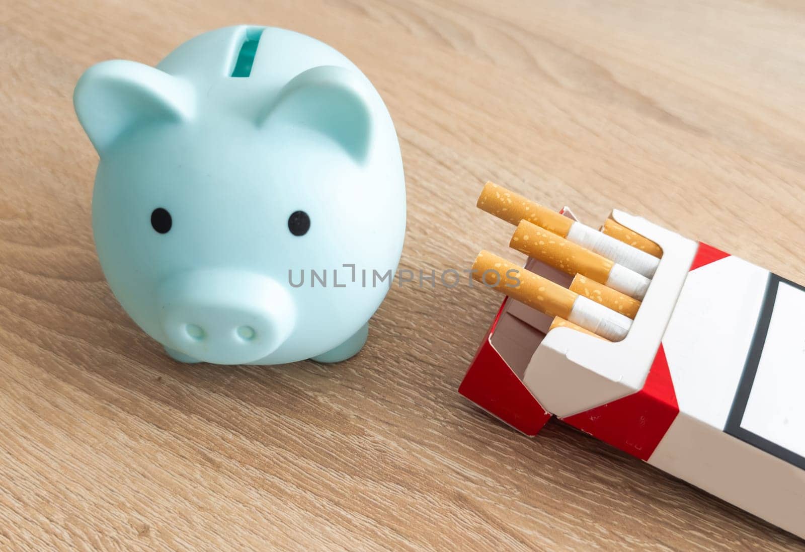 Piggy Bank on pile of Cigarettes isolated. Concept of Savings . High quality photo