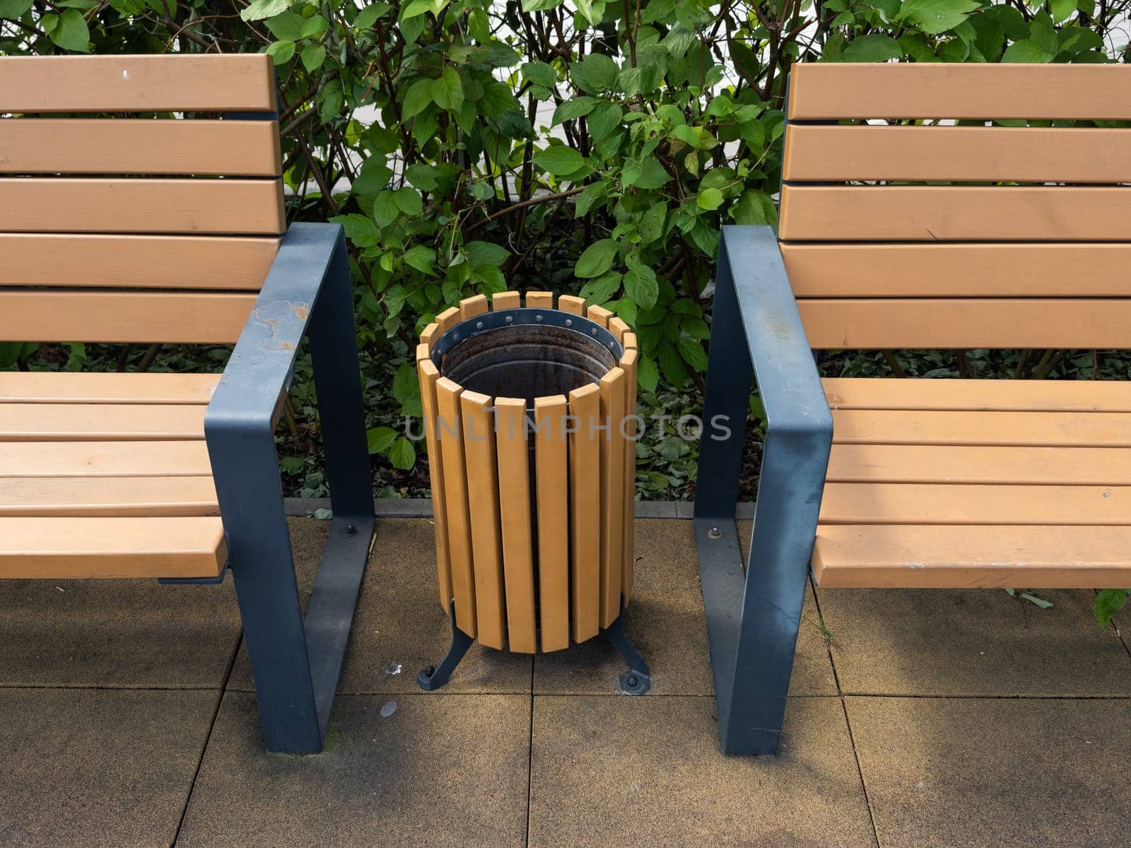 Wooden benches in a park. High quality photo