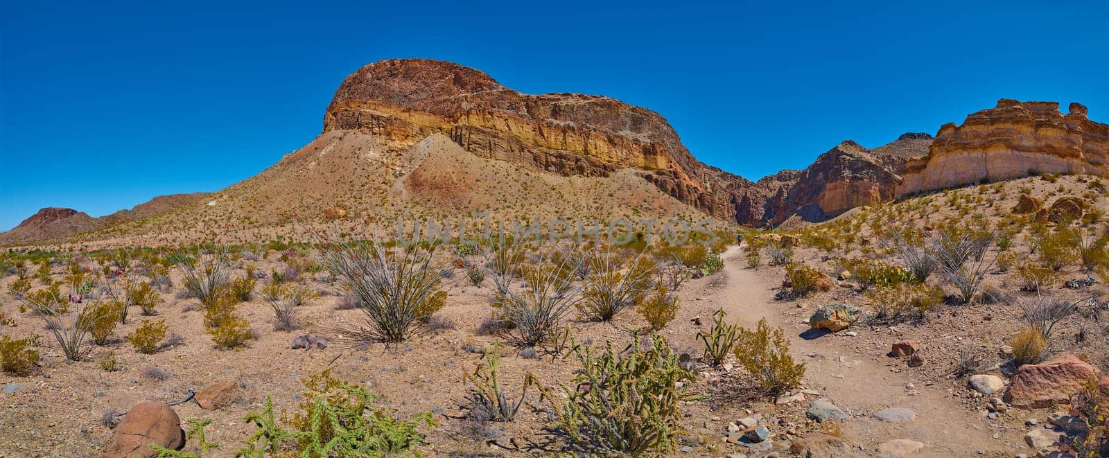 Rock formations along the Lower Burro Mesa Pouroff Trail at Big Bend National Park, Texas.