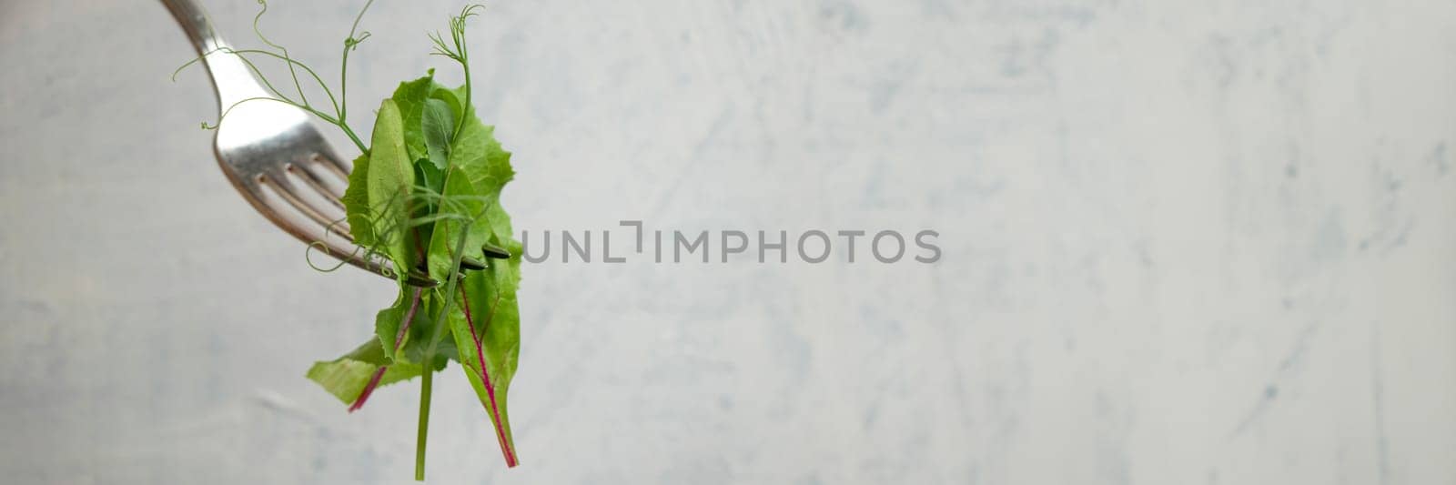 Banner of fork with green salad, young beet leaves and pea shoots on light textured background with space for text by Leoschka