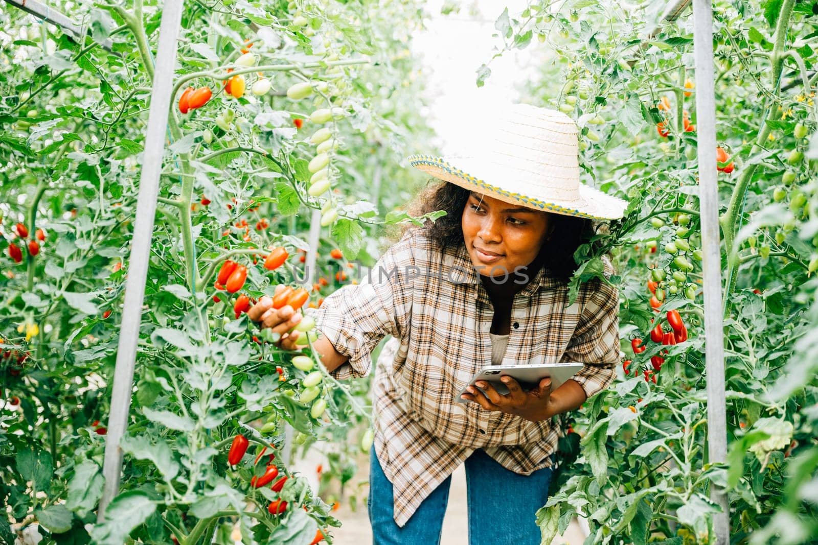 Black woman farmer uses a digital tablet to inspect tomatoes by Sorapop