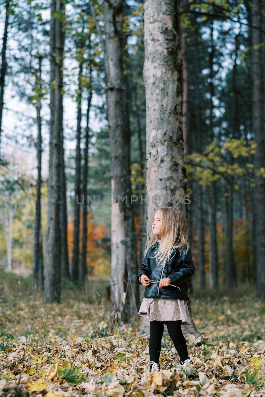 Little girl with a stick stands by a tree in an autumn park and looks away. High quality photo