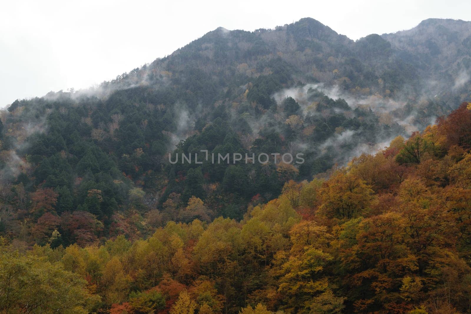A scenic view of a forested mountain with autumn foliage and mist rising from the trees.
