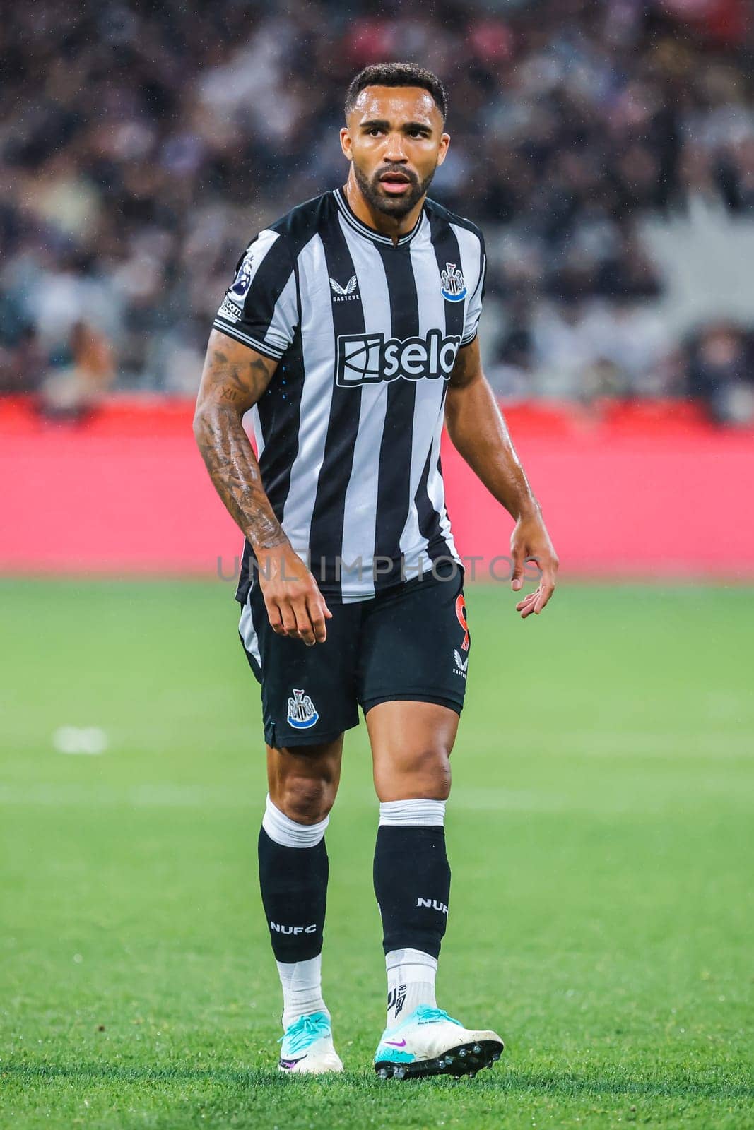 MELBOURNE, AUSTRALIA - MAY 22: Callum Wilson of Newcastle United whilst playing Tottenham Hotspur during the Global Football Week at The Melbourne Cricket Ground on May 22, 2024 in Melbourne, Australia