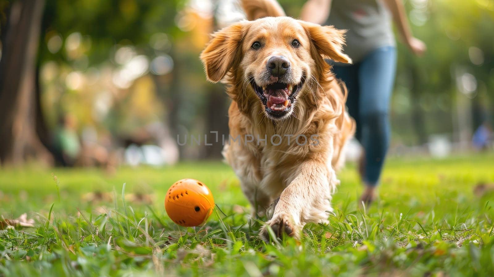 A person playing with their happy dog in a park, Friendship between owner and pet.