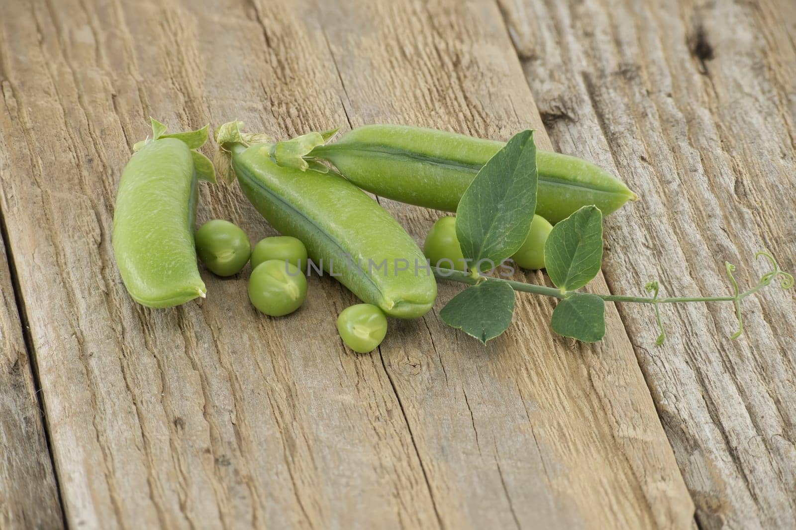 Fresh green peas, pea pods with green leaves and open pea pod on a wooden surface, vegan nutrition meal