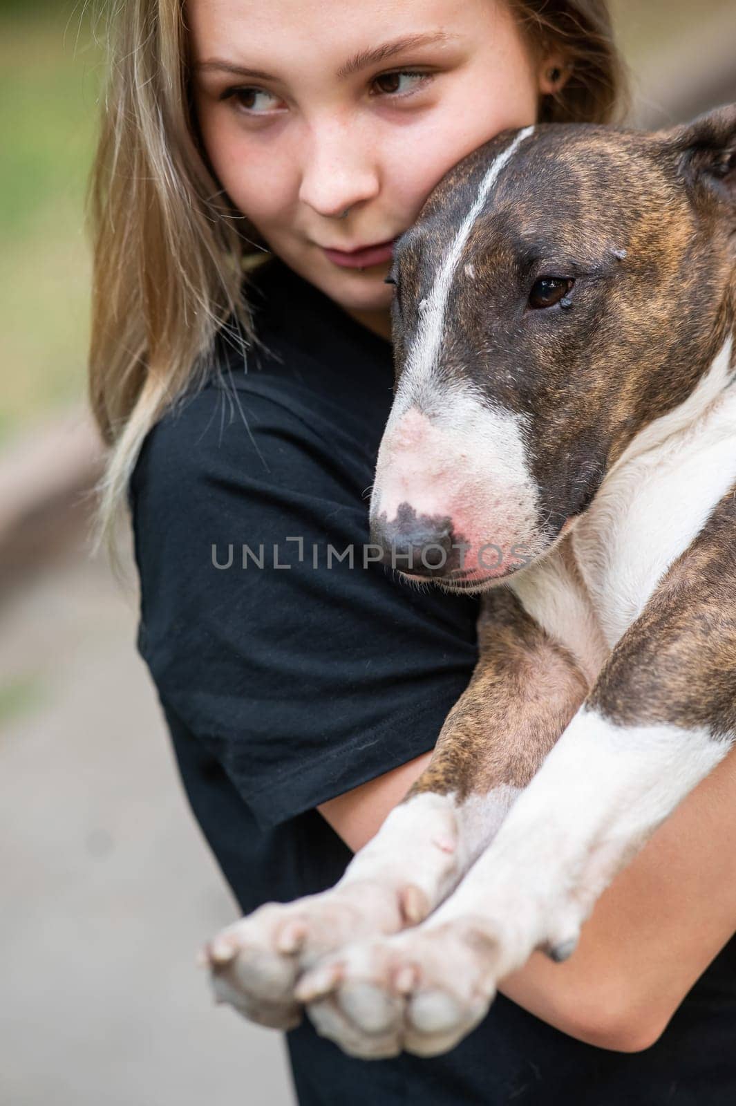 Portrait of caucasian woman hugging her bull terrier dog outdoors. by mrwed54