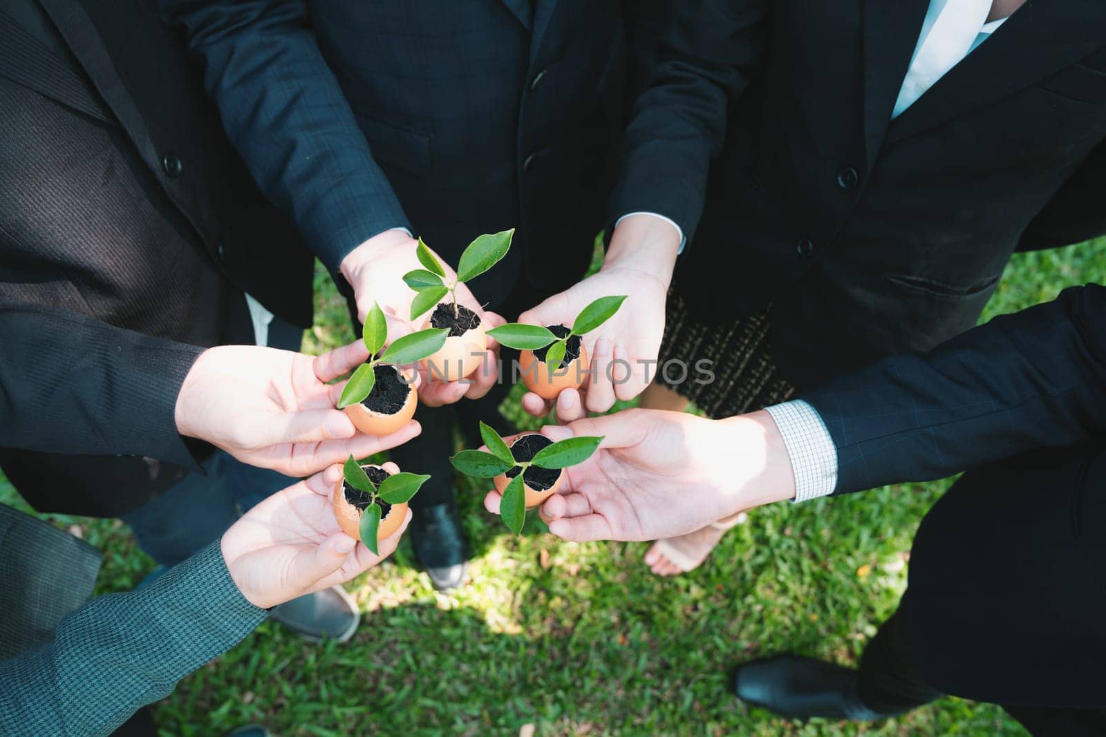 Group of business people holding repuposed eggshell transformed into fertilizer pot, symbolizing commitment to nurture and grow sprout or baby plant as part of a corporate reforestation project. Gyre