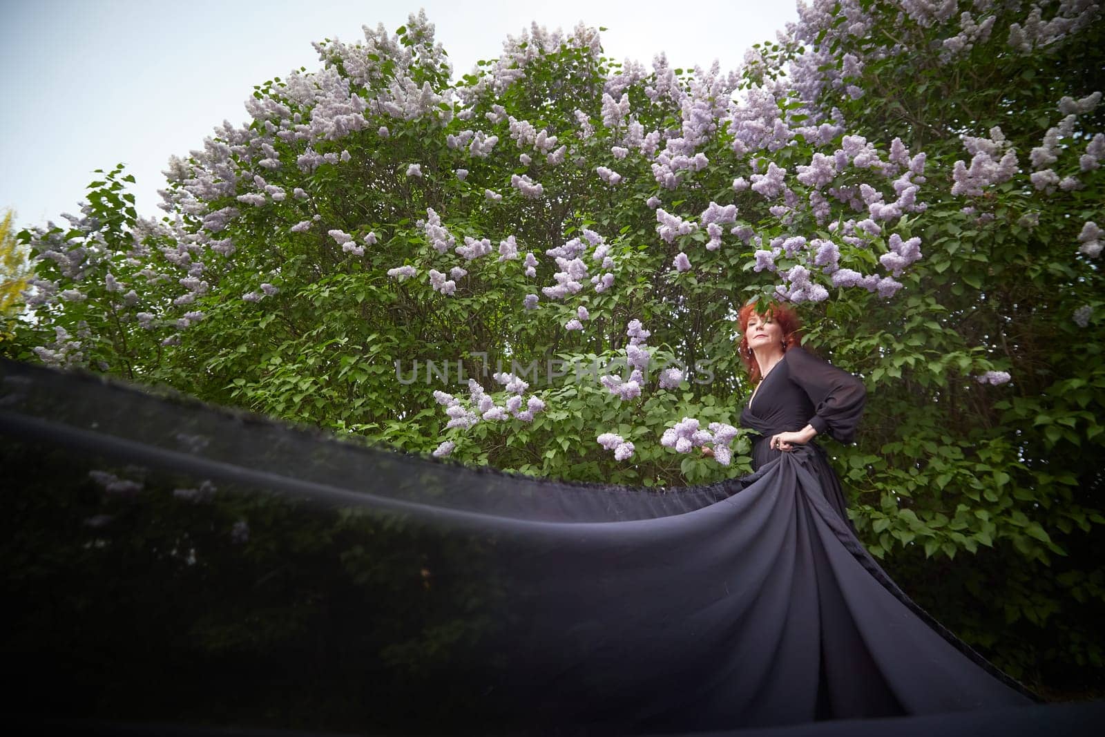 Elegant senior mature Woman in Black Dress looking like a witch by Blooming Lilac Bush at Dusk. Woman with red hair stands poised among lilac blooms