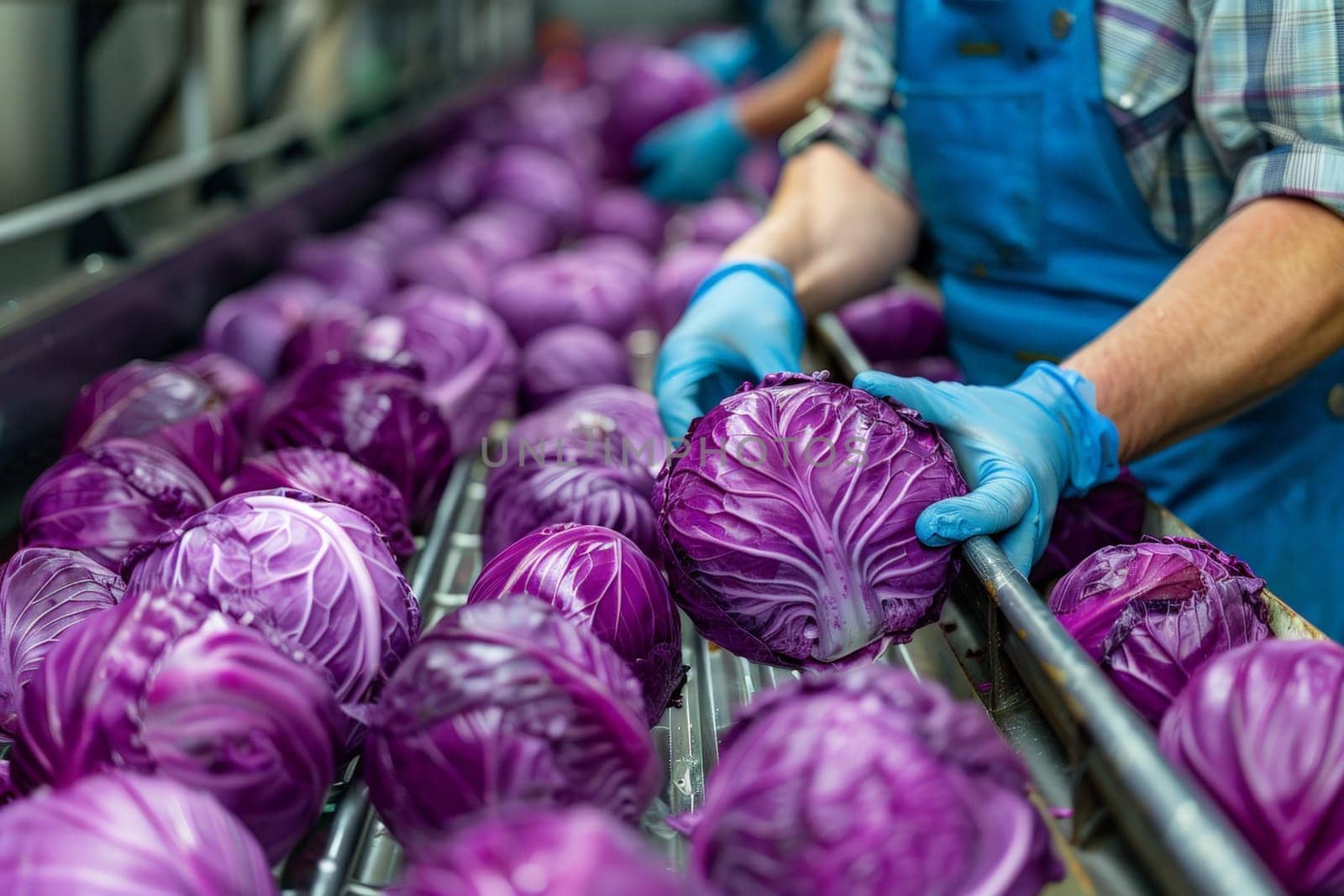 Staff with gloves check cabbage on conveyor in industry. ai generative.