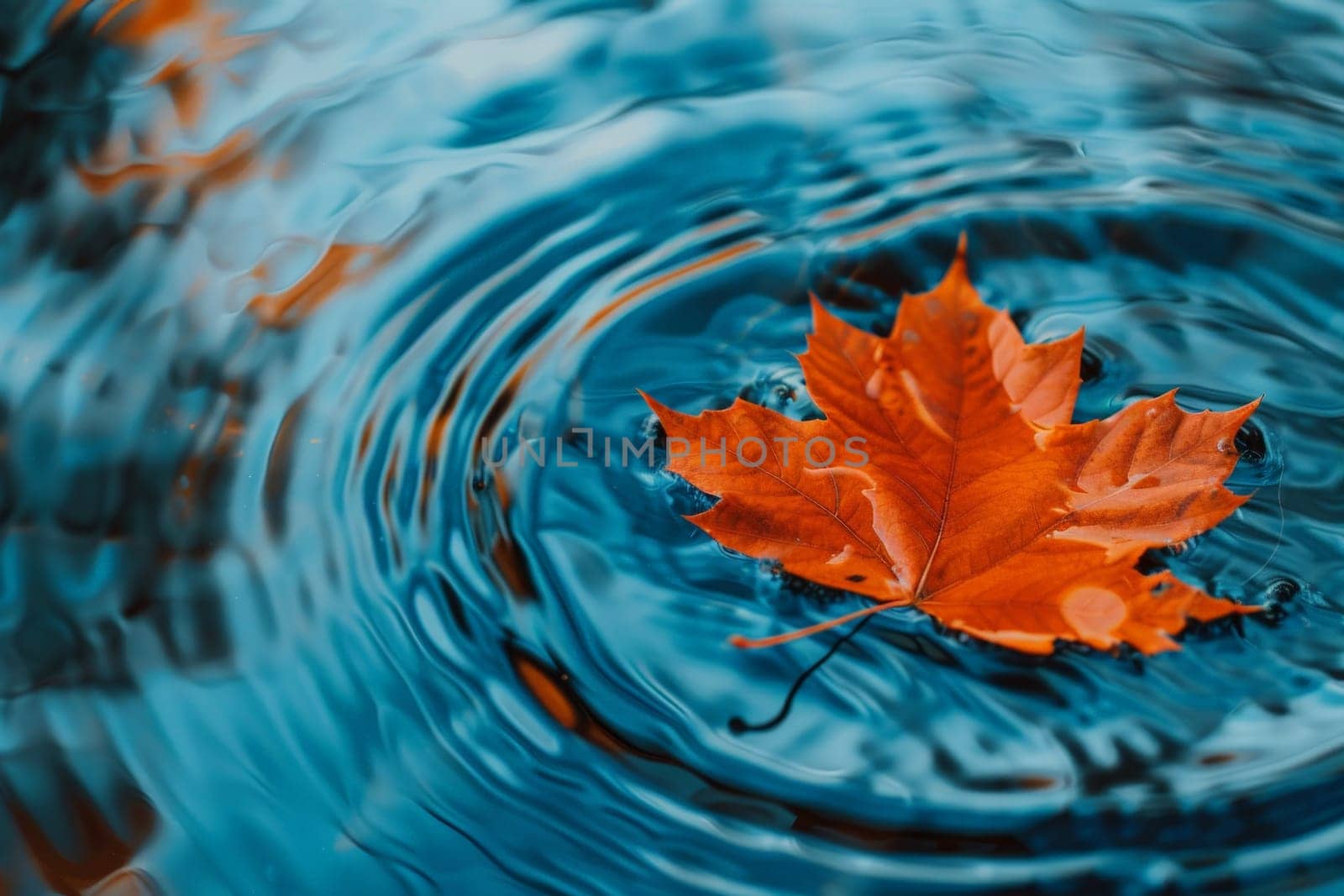 A maple leaf falling into an empty pond. AI generative.