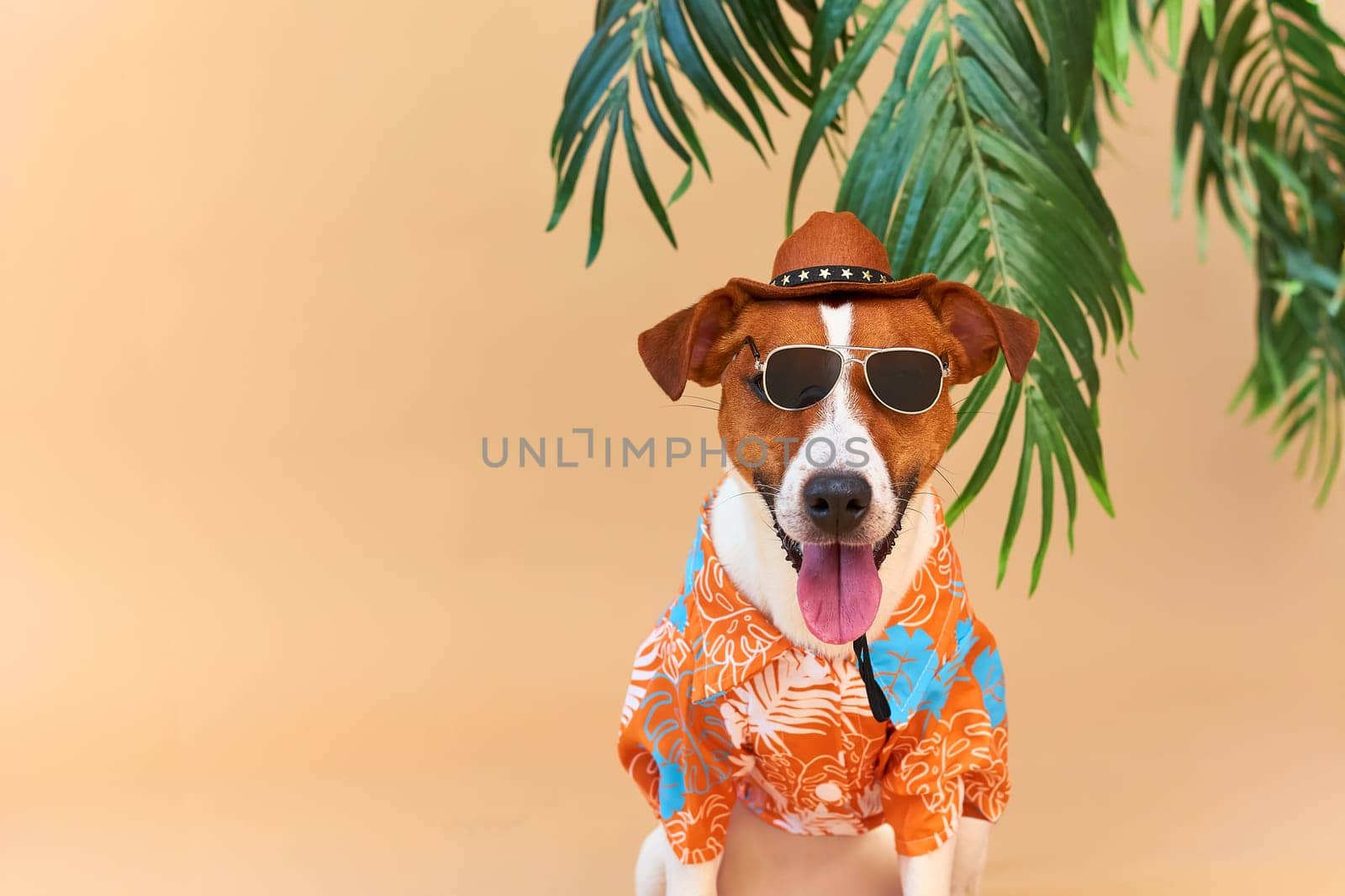Cool smiling cute Dog Jack Russell Terrier in a Hawaiian shirt, hat and sunglasses on the beach under a palm tree. Summer holiday and travel concept, background, pet care
