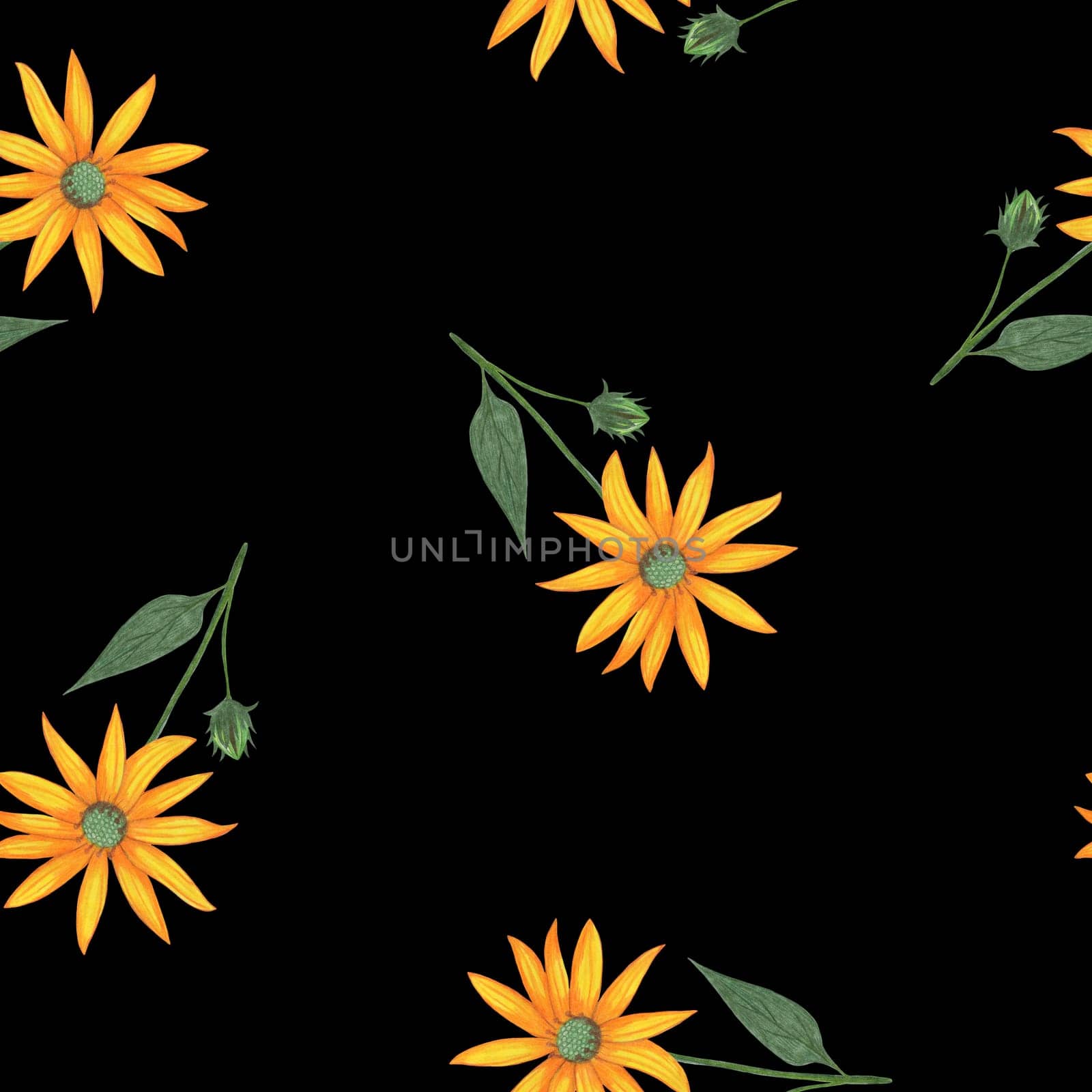 Topinambur Flower Seamless Pattern. Hand Drawn Floral Digital Paper on Black Background.