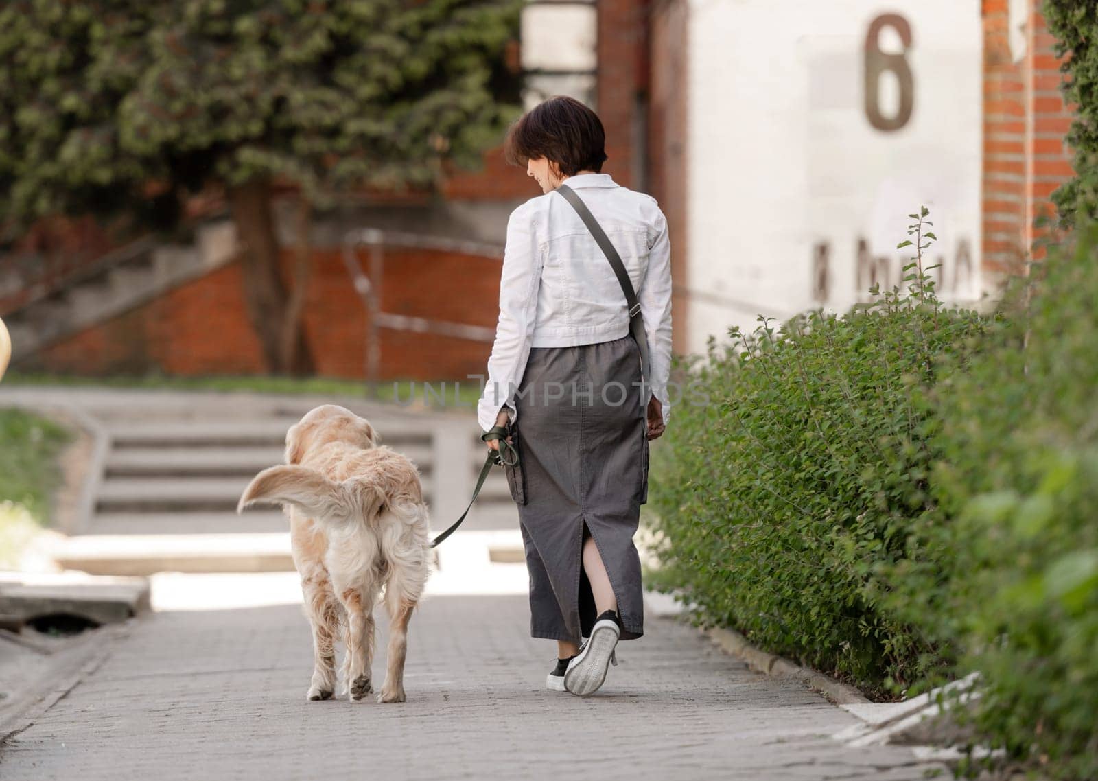 Young Woman With Golden Retriever On A Walk, Viewed From Behind