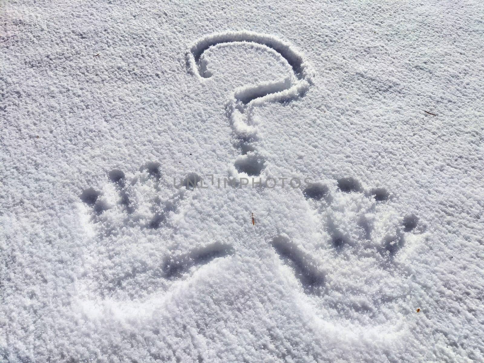 A large question mark is etched into the fresh snow, creating a stark contrast against the white surface on a serene winter morning.