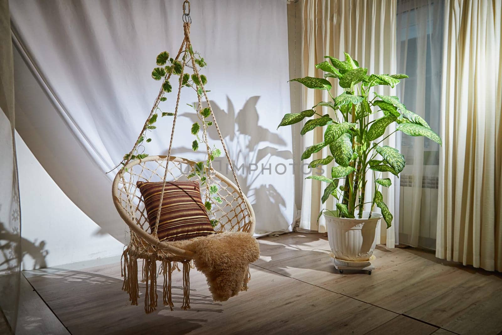 Modern cozy beautiful room with a braided rope macrame chair, green plant Diffenbachia and curtains. Interior and background. Location for photo shooting