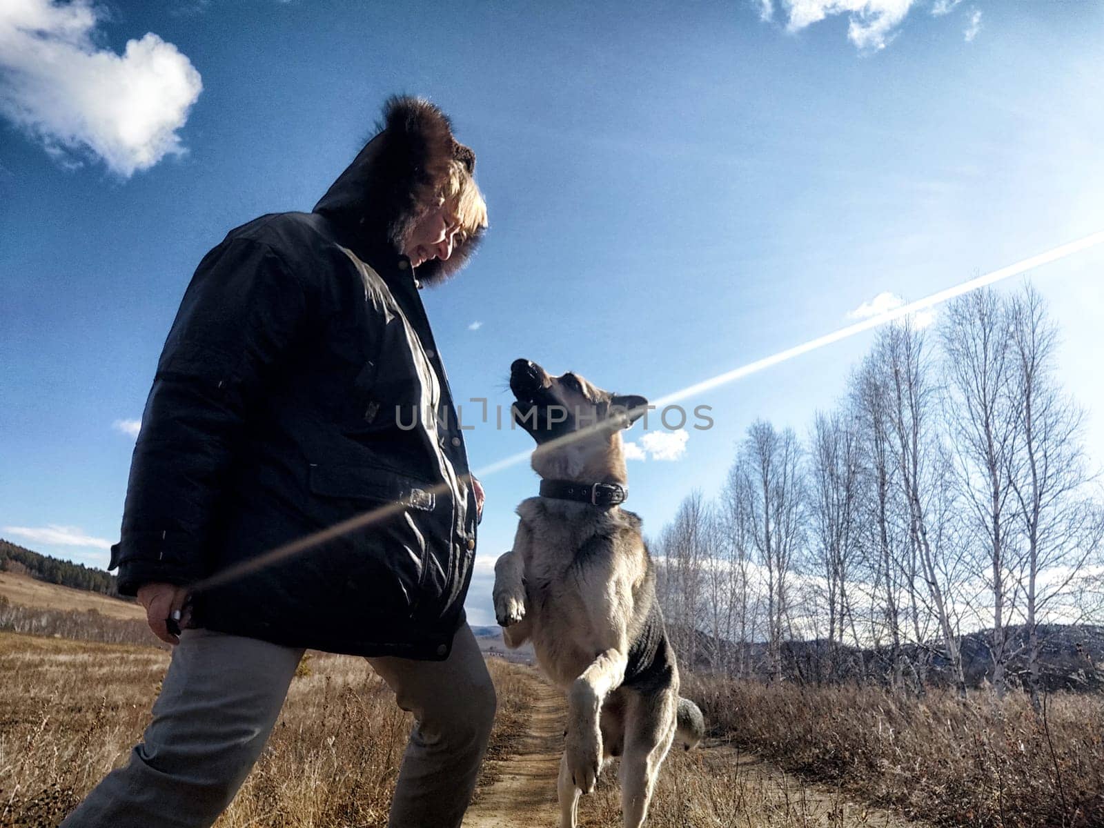 Adult girl or middle aged woman with shepherd dog in an autumn day