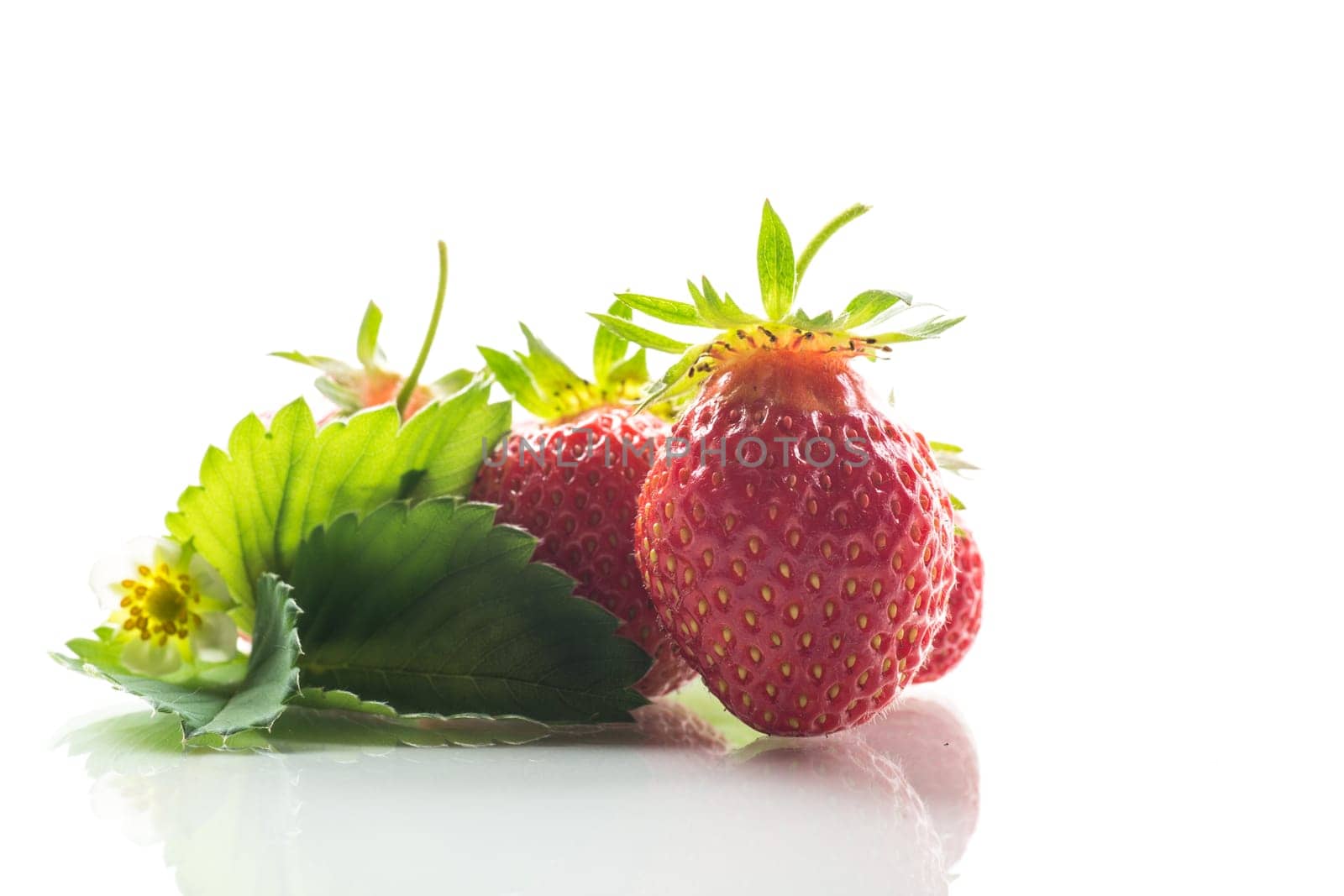 red ripe strawberry spring on a white background .