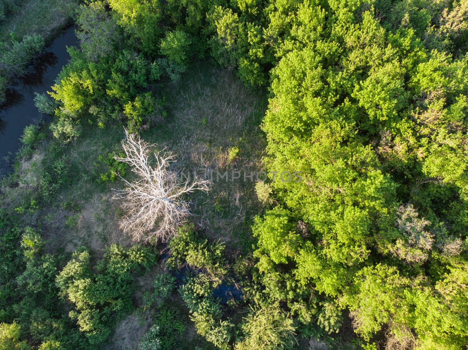 Aerial drone shot of summer june landscape with river